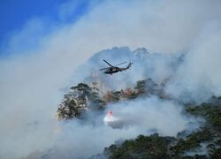 // EINSATZ // Flughelfer in Niederösterreich - Waldbrandbekämpfung