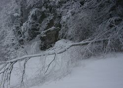 Schnee-Einsätze im neuen Jahr ...