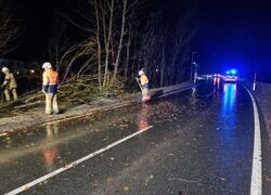 // EINSATZ // 3x Baum über Straße